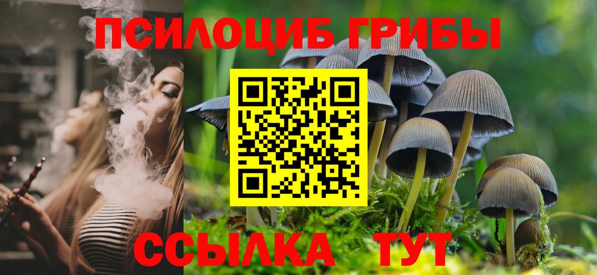 Галлюциногенные грибы GOLDEN TEACHER Воткинск
