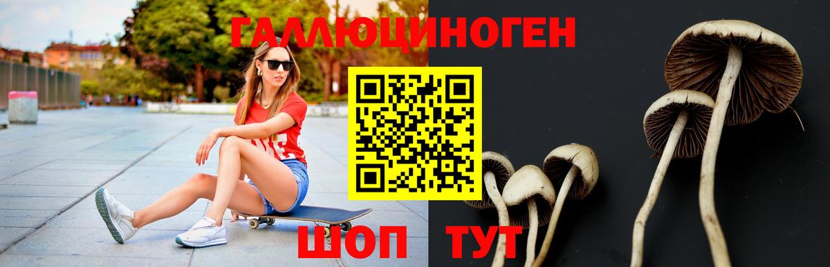 Воткинск  Галлюциногенные грибы Psilocybine cubensis  Псилоцибиновые грибы GOLDEN TEACHER  Вход с VPN 